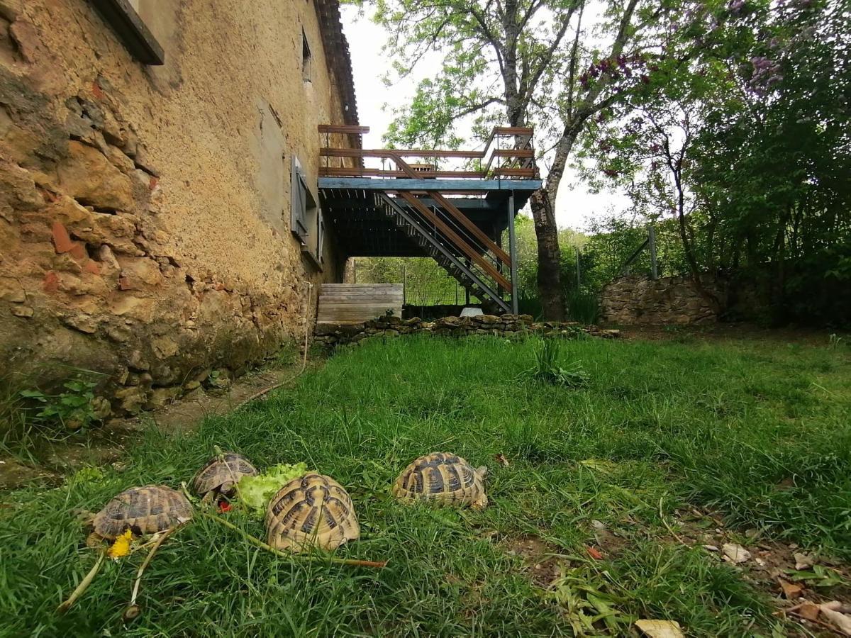 Gite Du Fassac Saint-Julien-du-Puy Eksteriør bilde